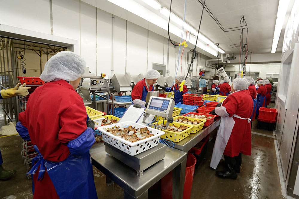 Our companies Shediac Lobster Shop Ltd.