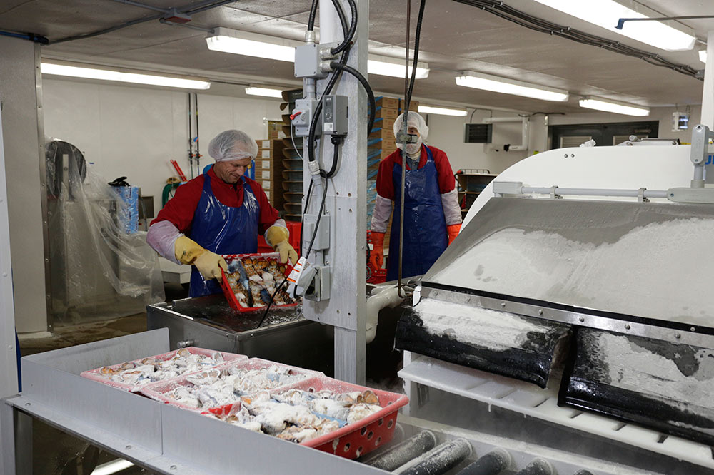 Our companies Shediac Lobster Shop Ltd.