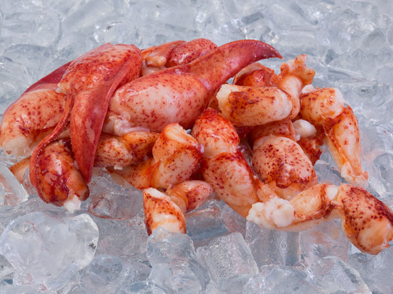 CK Lobster Meat – Whole Pieces