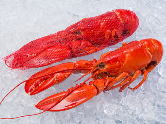 Homard cuit (entier/dans un filet)