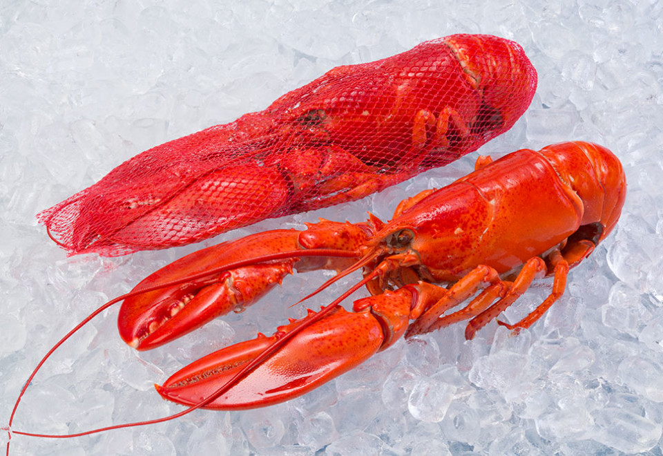 Cooked Lobster (Whole/Netted)