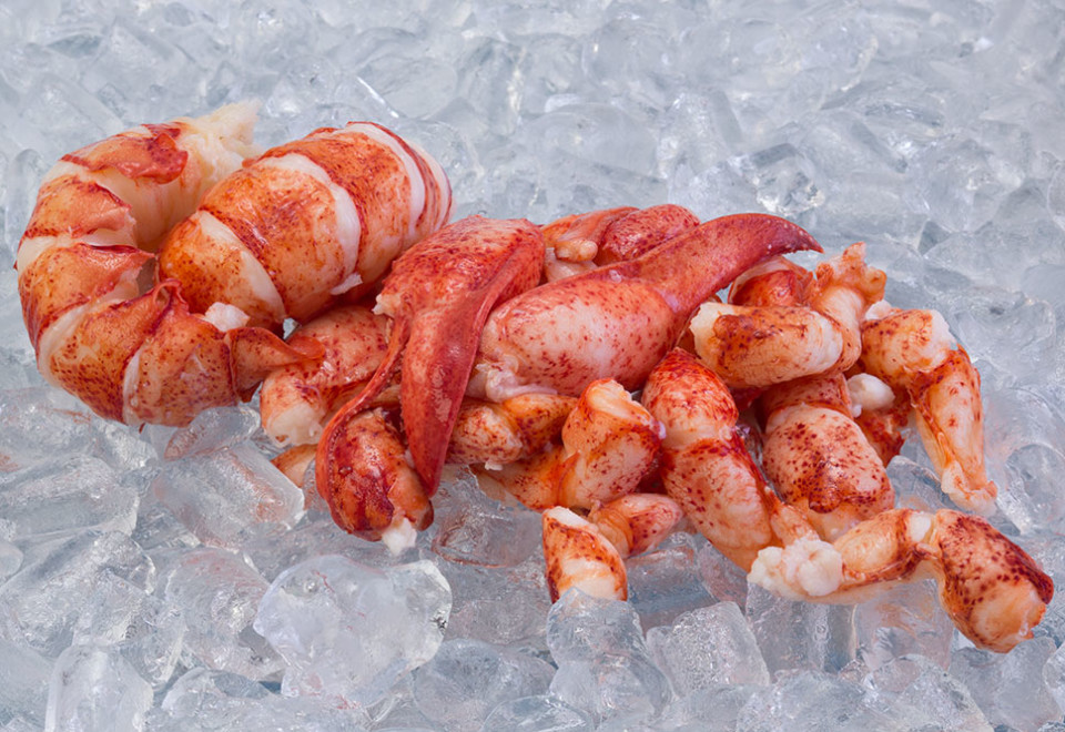 TCK Lobster Meat – Whole Pieces