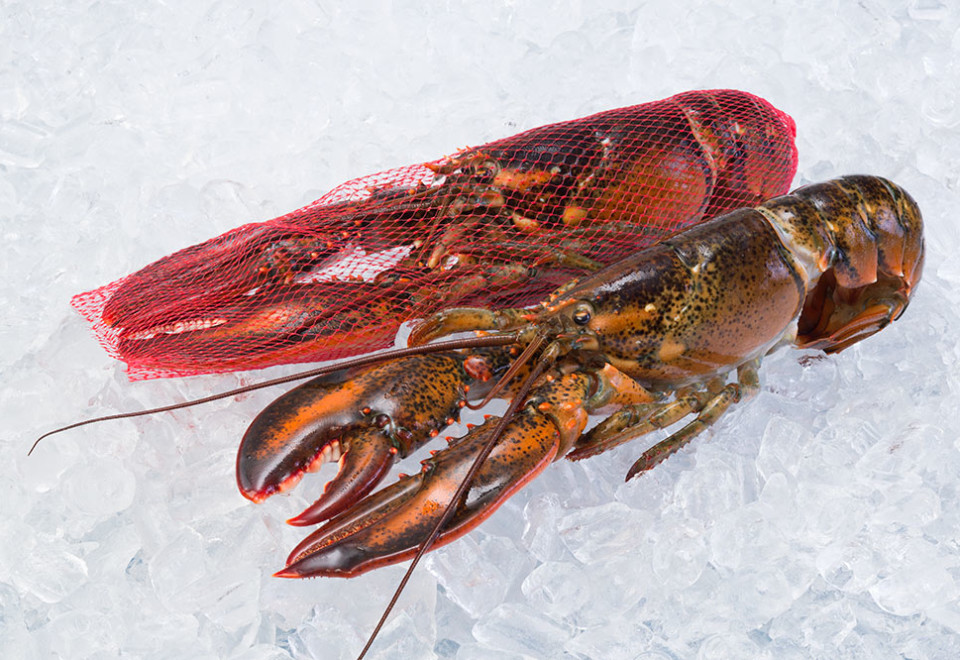 HPP Raw Lobster (Whole/Netted)