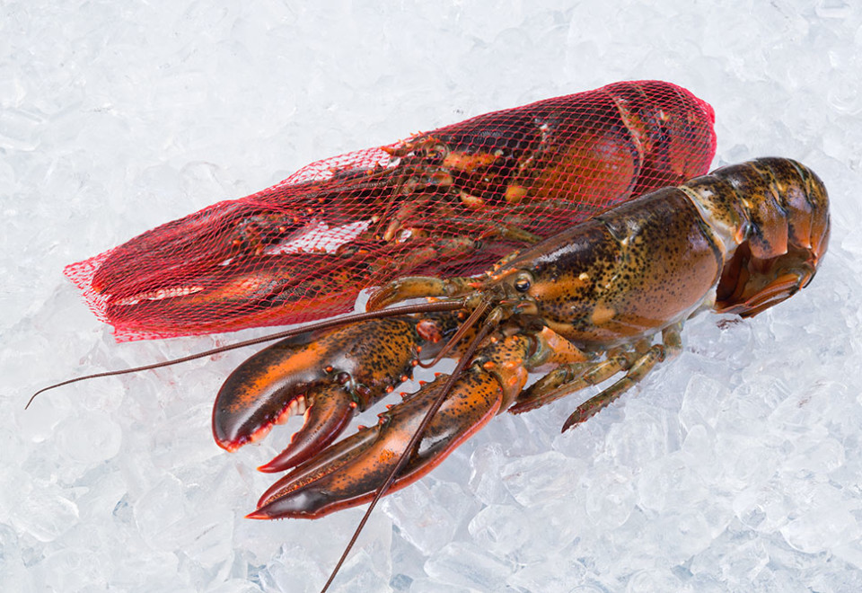 Raw Lobster (Whole/Netted)