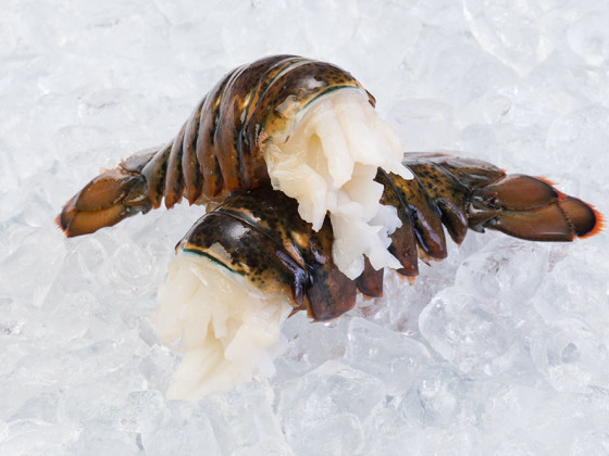 Raw Lobster Tails