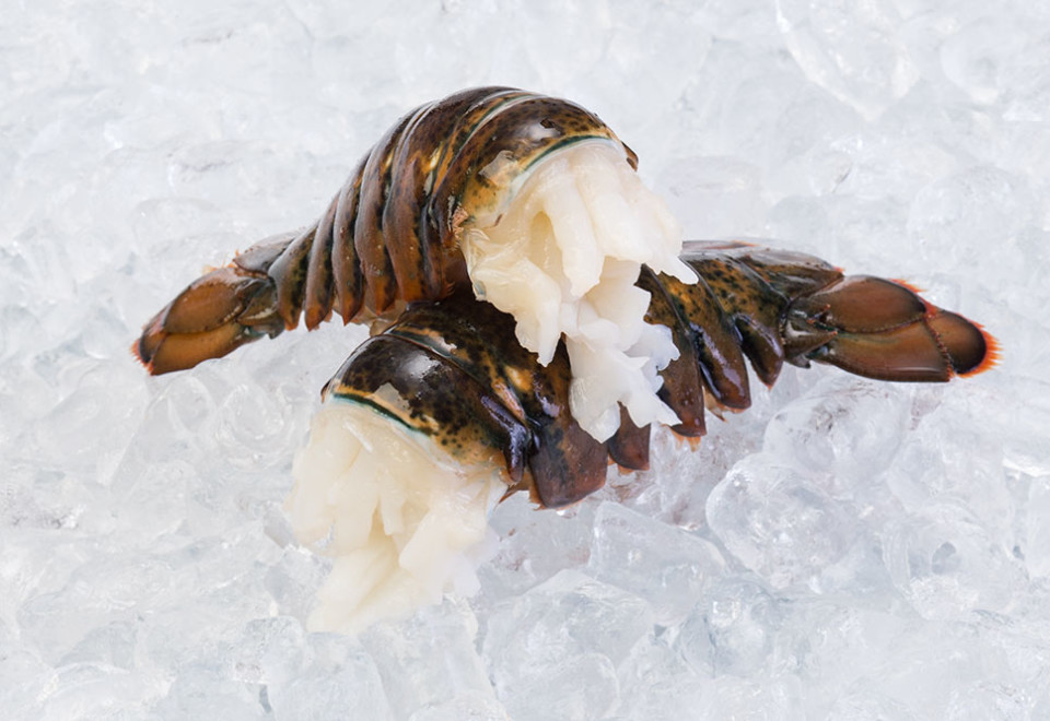 Raw Lobster Tails