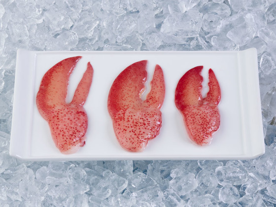 Pinzas de langosta HPP (alimento crudo)