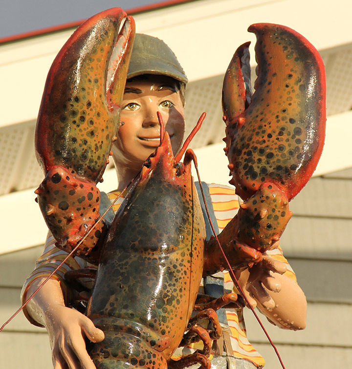 News & Events Shediac Lobster Shop Ltd.